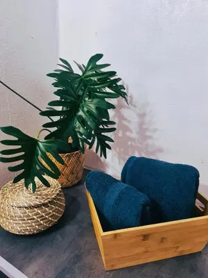 Plan de l'établissement Bel appartement à 3 min de la plage de 60m²