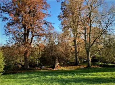 Jardin de l'établissement Grande maison de charme, 14 pers. 5 chambres, sauna, écrin de verdure, baby foot