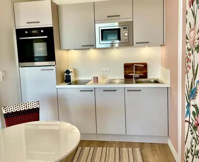 Cuisine ou kitchenette dans l'établissement Large studio direct access to the beach