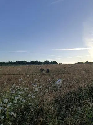 Paysage naturel près de la maison de vacances