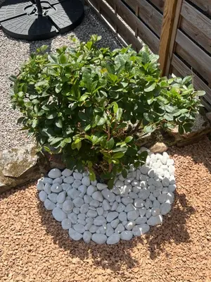 Jardin de l'établissement Gîte en Bretagne Sud Ty Nikolaz
