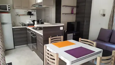 Cuisine ou kitchenette dans l'établissement Agréable Mobilhome 6 - 8 places
