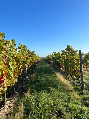 Plan de l'établissement La grange d'Elise