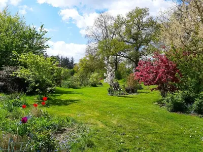 Jardin de l'établissement Maison charmante près de Nueil-les-Aubiers avec jardin