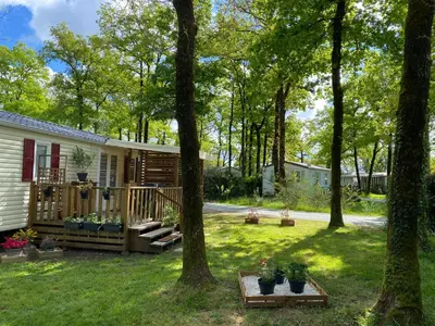 Jardin de l'établissement Mobil home 4 personnes Plein cœur de la Vendée proche Parc du PUYDUFOU
