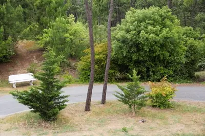 Paysage naturel près de l'appartement