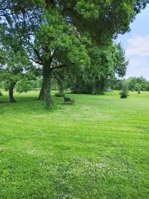 Jardin de l'établissement GITE DE LA JANIERE