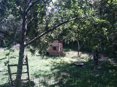 Jardin de l'établissement Gite les Farfadets - 12 personnes maxi