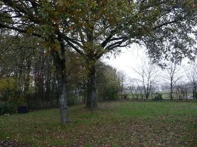 Paysage naturel près de l'appartement
