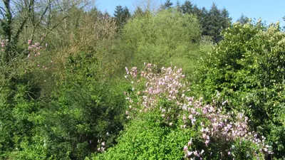 Paysage naturel près de le B&B/chambre d'hôtes