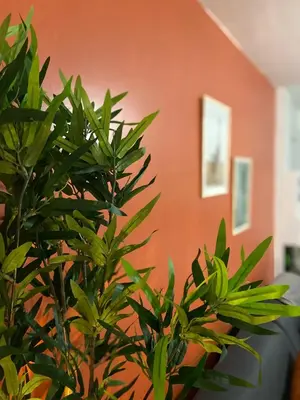 Plan de l'établissement Le Terracotta - Confort en plein centre