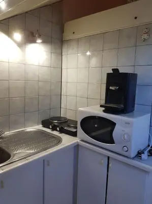 Cuisine ou kitchenette dans l'établissement Petit studio la madeleine