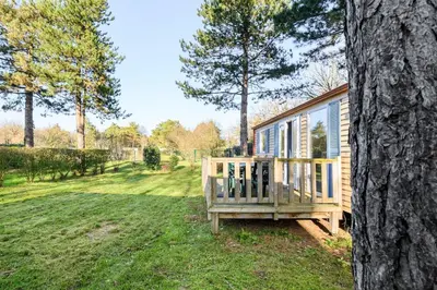 Jardin de l'établissement Mobil-home 6 personnes 3 chambres