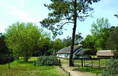 Paysage naturel près de la maison de vacances