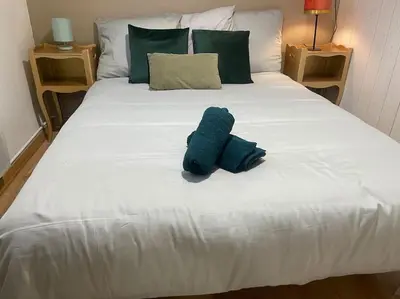 Un ou plusieurs lits dans un hébergement de l'établissement *NEW* MAISONNETTE*Bail Mobilité*CHIC*NANTES