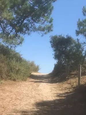 Paysage naturel près de la maison de vacances