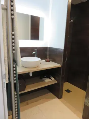 Salle de bains dans l'établissement 12 pers, sur la dune, PMR, spa, hammam, salle de sport