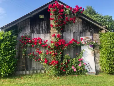 Jardin de l'établissement Logement insolite