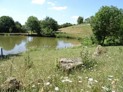 Paysage naturel près de le B&B/chambre d'hôtes