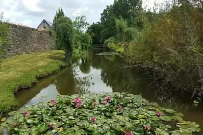 Paysage naturel près de le camping