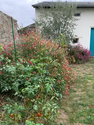 Jardin de l'établissement Chambre d'Hôtes Les Petits Oiseaux