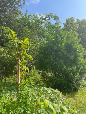 Paysage naturel près de le séjour chez l'habitant