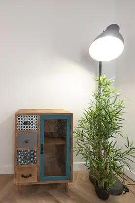Plan de l'établissement studio trankil coeur d'Ancenis - balcons d'Ancenis