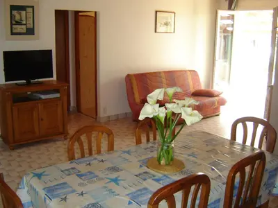 Télévision ou salle de divertissement dans l'établissement Maison spacieuse 8 pers avec jardin, animaux admis - FR-1-540-256